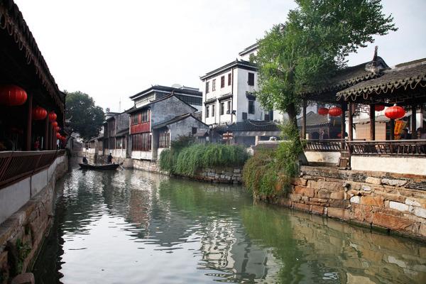 救援受困的鹭